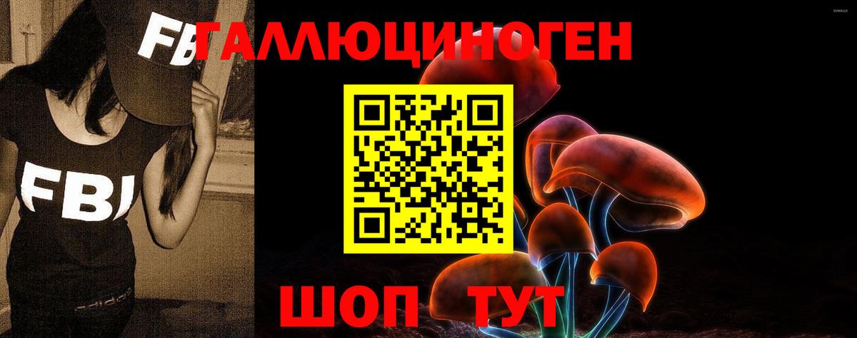 Псилоцибиновые грибы Cubensis  Псилоцибиновые грибы мицелий  Вятские Поляны  Вход с VPN 